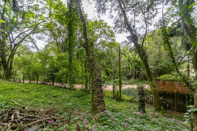 Imagem Terreno 745m2 rua sem saída Santa Felicidade