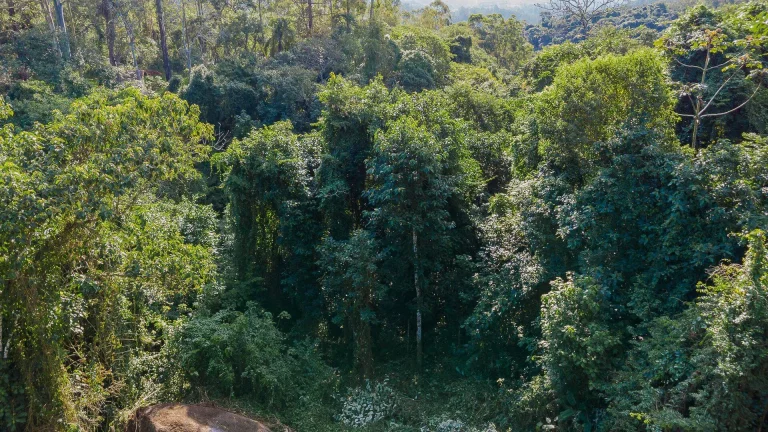 Imagem Terreno à venda - Itapevi/SP