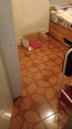 Imagem Alugo Sobrado em São Paulo