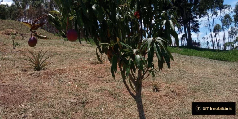 Imagem Terreno com 7800²m de facil acesso em Mairiporã Escriturado