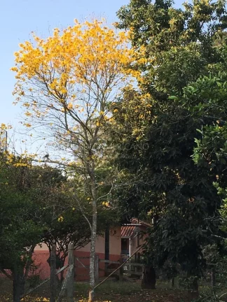 Imagem JOANÓPOLIS. LINDA CHÁCARA NA BEIRA DA REPRESA, com acesso a água !