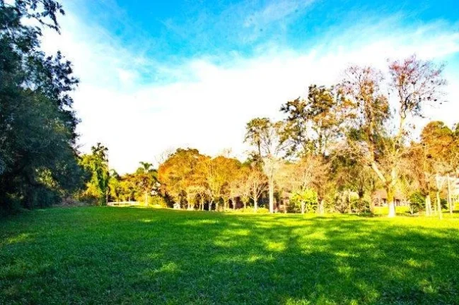 Imagem Sítio - Bairro Belem Velho