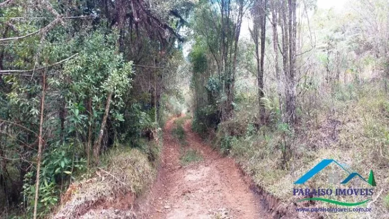 Imagem Paraíso Ecológico na Serra da Mantiqueira: Fazenda com 38,72 hectares!
