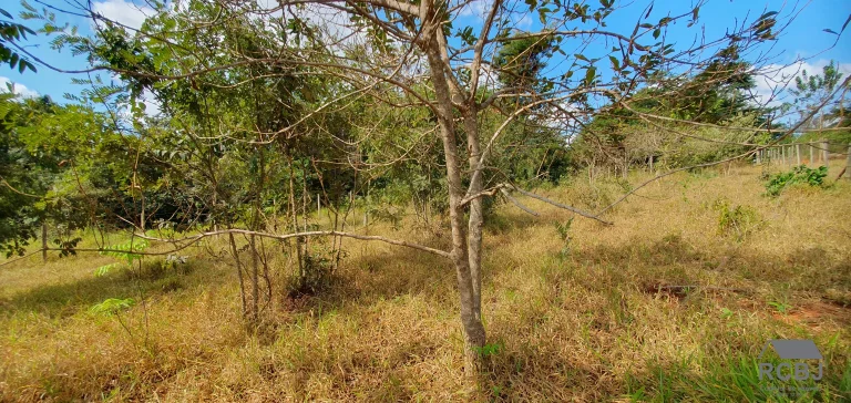 Imagem TERRENO TEMPORADA em ESMERALDAS - MG, ESMERALDAS/QUATI