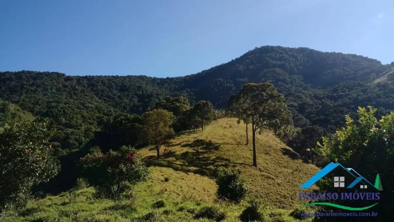Imagem Área de Mata Compensação Ambiental ou Crédito de Carbono S. da Mantiqueira!