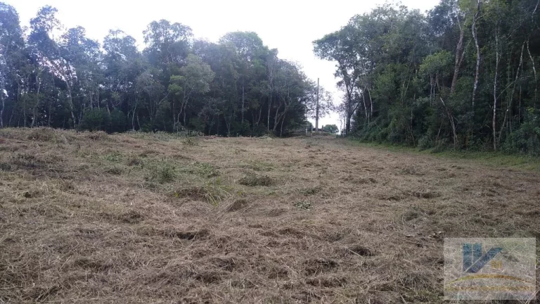 Imagem Terreno para Venda em São José dos Pinhais, Campestre da Faxina