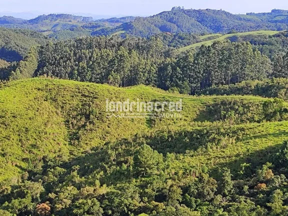 Imagem Chácara à venda 744000M², Zona Rural, Castro - PR