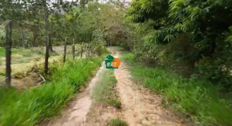 Imagem Sítio para Venda em São Roque, Sorocamirim (canguera), 2 dormitórios, 1 suíte, 3 banheiros, 2 vagas