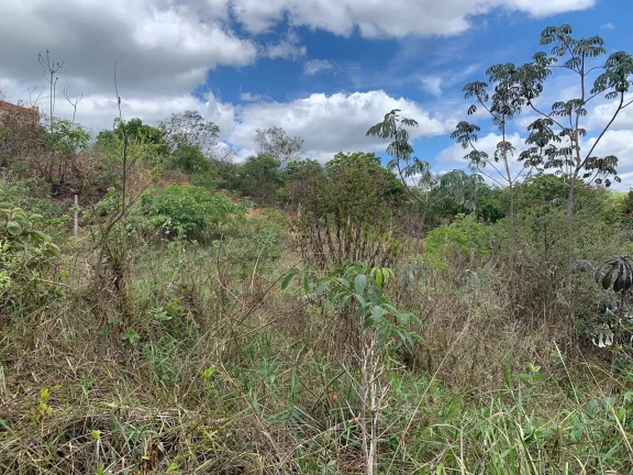 Imagem CHÁCARA BARATO A VENDA , EM JUATUBA!