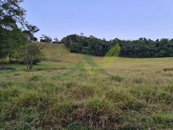 Imagem Sítio em Piracaia com 31 Alqueires