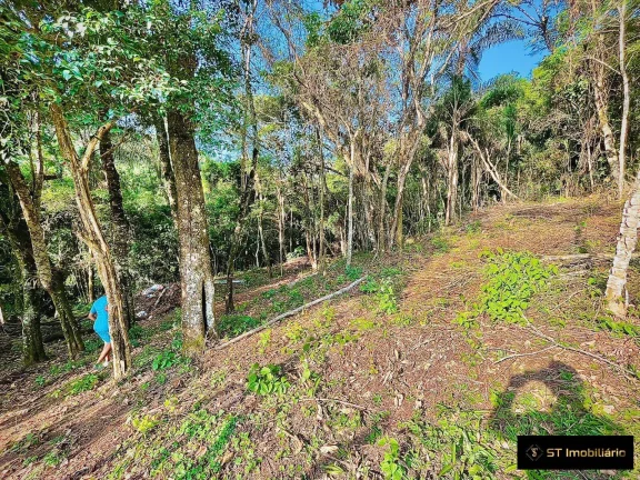 Imagem Sitio na Serra da Cantareira em Mairiporã