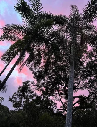 Imagem Sítio em Juquiá