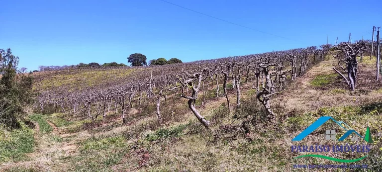 Imagem Propriedade Rural de Alto Padrão: Pronta para Produção e Investimento!