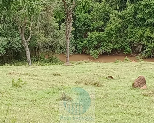 Imagem Sítio 20 ha ou 8,26 alq. a venda, para café, gado Jacui Sul de Minas Gerais