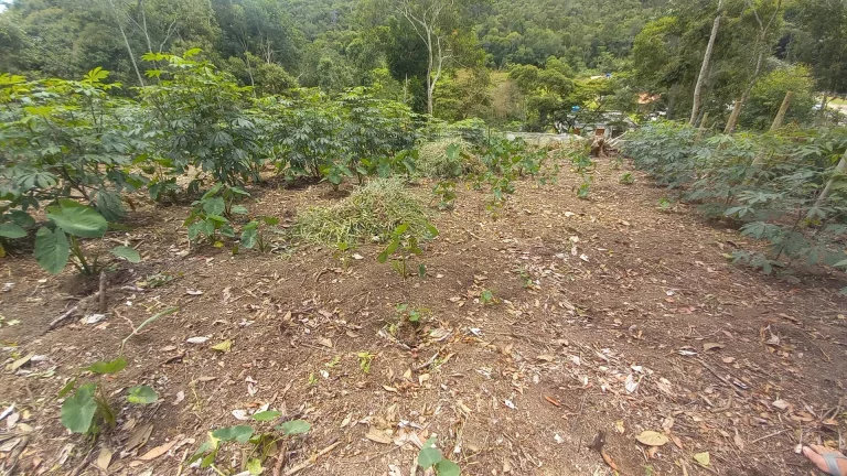 Imagem VENDO ESTE EXCELENTE TERRENO EM NOVA FRIBURGO - BAIRRO: TOLEDO