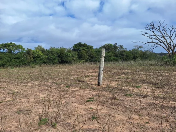 Imagem Sítio à venda, com 1 hectare, açude, no Passo da Areia - Viamão/RS