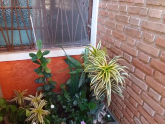 Imagem Belissíma Casa em Atibaia próximo da Al. Lucas