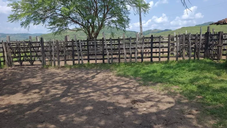 Imagem Excelente Fazenda em Belem Paraíba com 270 hectares