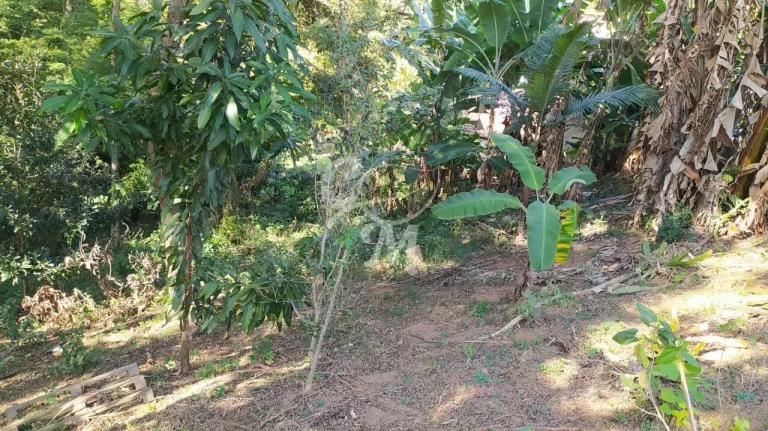 Imagem Terreno COM MAIS DE 3 MIL METROS Cafezal III