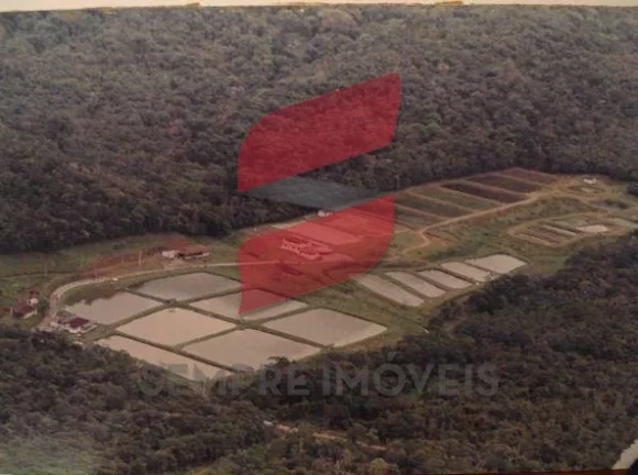 Imagem CHÁCARA à venda com 250000m² por R$ 3.000.000,00 no bairro Centro - MATINHOS / PR