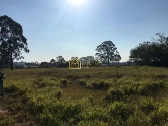 Imagem Terreno Padrão