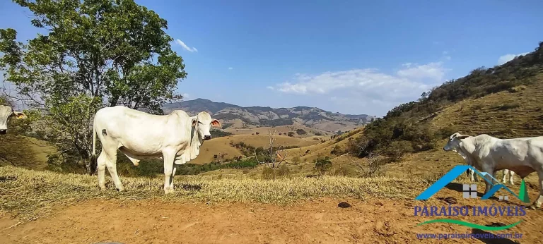 Imagem Oportunidade Única para Construir o Sítio dos Seus Sonhos!