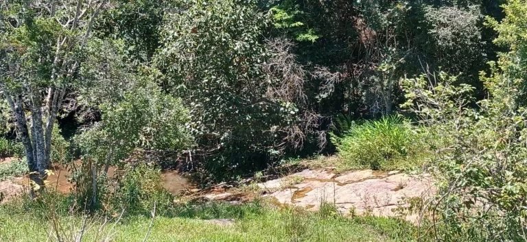 Imagem Fazenda à venda no bairro Campos Novos - Cunha/SP