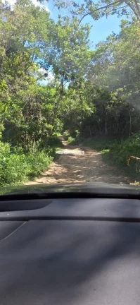 Imagem Terreno Frente Mar á venda localizado na praia Ponta grande em Porto Belo Santa Catarina.