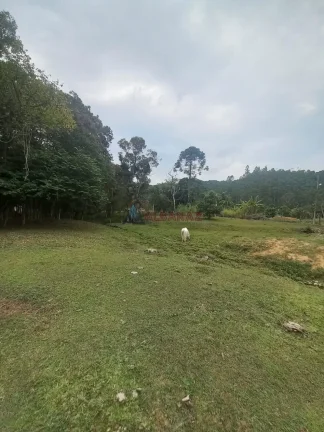 Imagem Terreno à venda no bairro Oliveira - Tijucas/SC