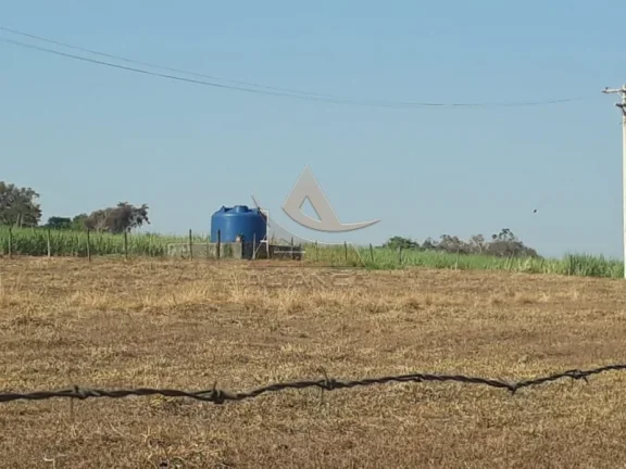 Imagem Fazenda - Cajuru - Zona Rural