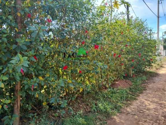 Imagem Terreno em Condomínio para Venda em Americana, Parque São Jerônimo