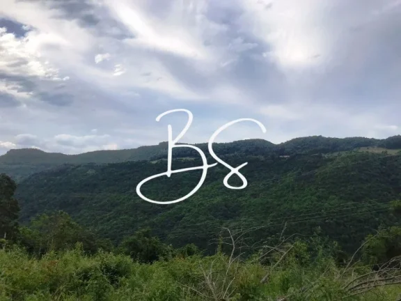 Imagem SITIO RURAL em NOVA PETRÓPOLIS - RS, Linha Pirajá Baixa