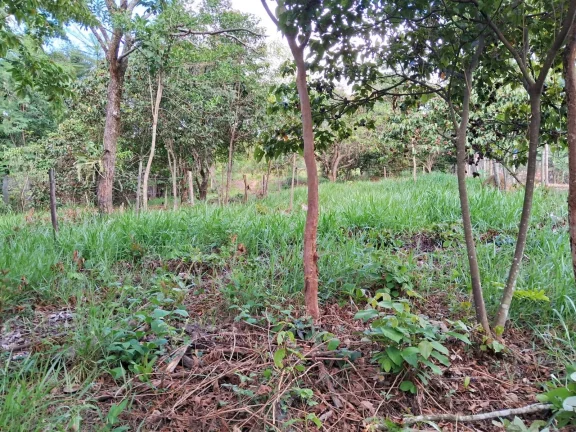 Imagem EXCELENTE LOTE NO SAMAMBAIA 2, EM JUATUBA!