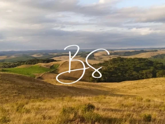 Imagem AREA RURAL em SÃO FRANCISCO DE PAULA - RS, São Francisco de Paula