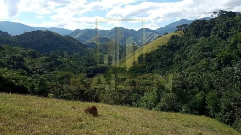 Imagem Chacara em São Francisco Chavier