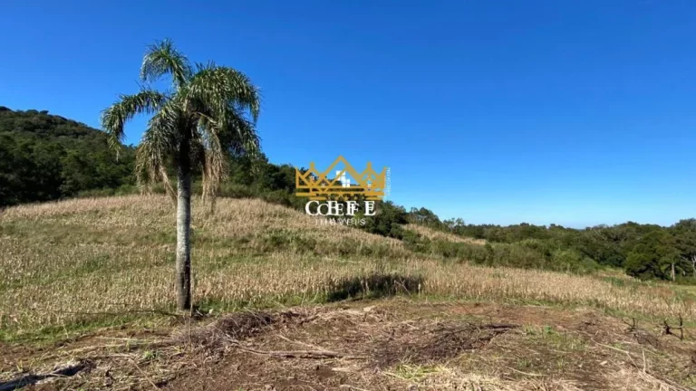 Imagem Chácara - Sítio com 2 Dormitorio(s) localizado(a) no bairro Serra Grande em Gramado / RIO GRANDE DO SUL Ref.:1350