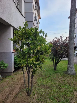 Imagem Rosicler Apto 32935 - Apartamento à venda no bairro Cristal - Porto Alegre/RS