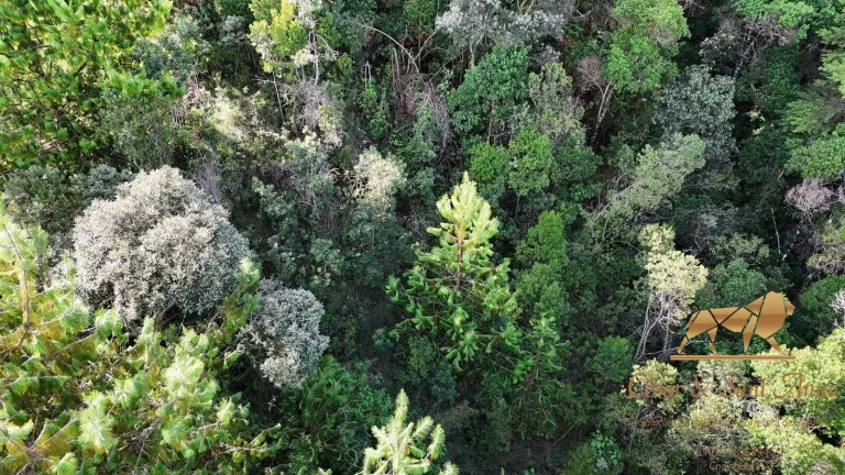 Imagem Terreno a venda em Campos do Jordão