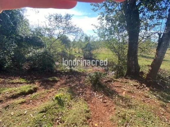 Imagem Chácara à venda Zona Rural, Serranópolis do Iguaçu - PR