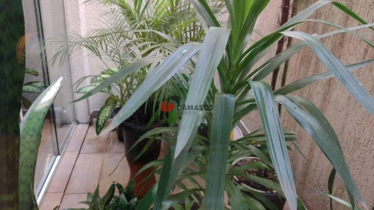 Imagem Sobrado à venda 3 Quartos, 3 Suites, 3 Vagas, 240M², Barcelona, São Caetano do Sul - SP