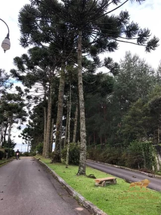 Imagem Terreno à venda, 2450 m² Capivari - Campos do Jordão/São Paulo