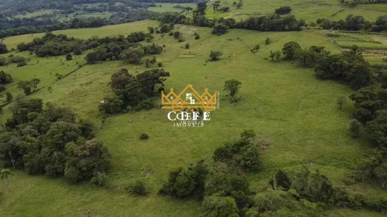 Imagem Chácara - Sítio com 3 Dormitorio(s) localizado(a) no bairro Zona Rural em Igrejinha / RIO GRANDE DO SUL Ref.:1386