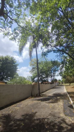 Imagem CHÁCARAS EM CONDOMÍNIO, EM FRANCELINOS!