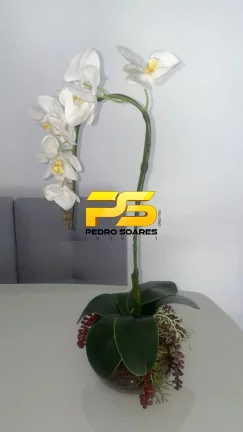 Imagem Apartamento com 2 Quartos à Venda, 86 m² em Jardim Oceania - João Pessoa Imagem Apartamento com 2 Quartos à Venda, 86 m² em Jardim Oceania - João Pessoa