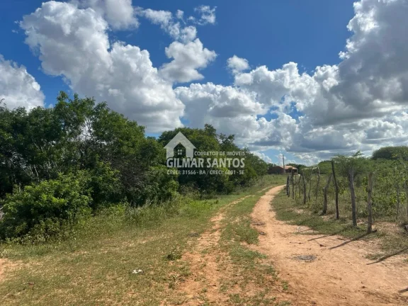 Imagem Fazenda/Sítios/Chácaras no bairro Zona Rural, em Coronel João Sá