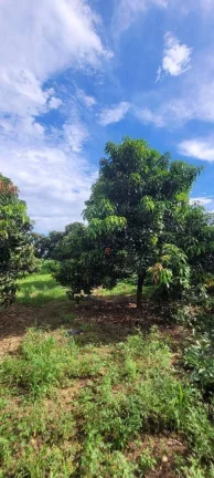 Imagem Sítio à venda, 45.000 m² por R$ 1.200.000 - Área Rural - Monte Mor/SP