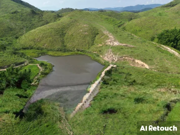 Imagem Vendo Fazenda Araruama município de Basilio com 350 cabeças de Gados