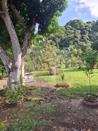 Imagem FA-25257 - FAZENDA À VENDA EM SETE BARRAS-SP
