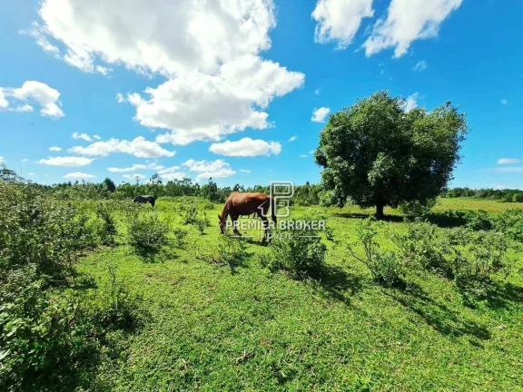 Imagem Fazenda à venda, 52 alqueires por R$ 9.500.000 - Banqueiros - Araruama/RJ