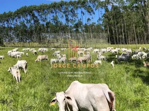 Imagem FA-24135 - FAZENDA À VENDA EM GUARATINGUETÁ/SP